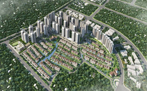 实地常春藤